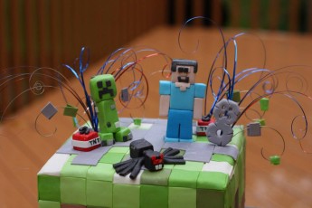 Complete with  TNT, Creeper, Spider and Steve